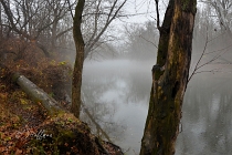 misty, foggy